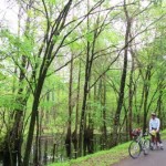 withlacoochee-trail-cypress-600×336