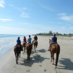 560x420xhi-horseback-ride-21.jpg.pagespeed.ic.PLErcWCC6w