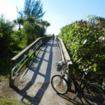 800x506xsanibel-bike-to-beach.jpg.pagespeed.ic.7KHVtoEkVn