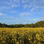 Christina-Skibicki-Pepper-Ranch-1