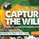 8677-JIphotoWorkshopHomepage