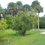 Riverbend-trail-pond