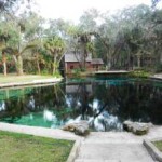 juniper-springs