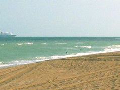 Beach Renourishment