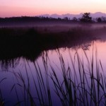 Sunset_at_Loxahatchee_National_Wildlife_Refuge_Florida-1024×507