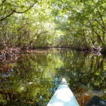Kayak-trail-Collier-Seminol