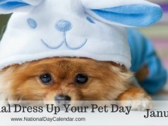 Dress Up Your Pet Day