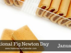 Fig Newton Day