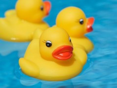 Rubber Duckie
