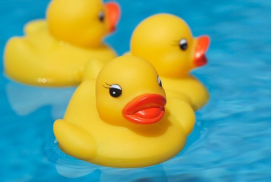 Rubber Duckie