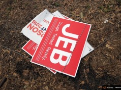 Jeb Bush
