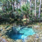 Chassahowitzka-spring