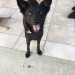 Here is homeless Lovita from Costa Rica who now is living happily in New York City