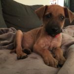 Homeless Tica from Costa Rica now happy in New York City.