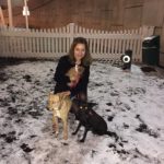 Jean Shafiroff with rescue dogs Gallina, Tica and Lovita in JetBlue dog walking area at Kennedy Airport