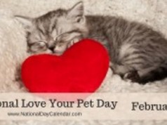 love your pet day