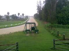 John Toole’s “Airfield” On 15 Acres In Davie
