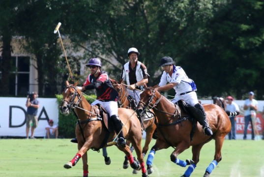 Polo