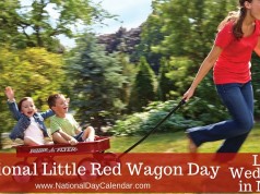 Little Red Wagon