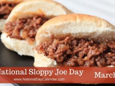 sloppy joe