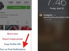 notifications