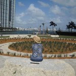 miami-circle-view