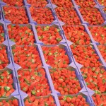 strawberryflats