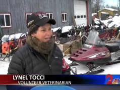 Iditarod