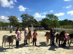 Horse Rescue