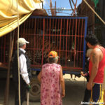 4 Hoover circus seizure
