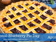 National Blueberry Pie Day