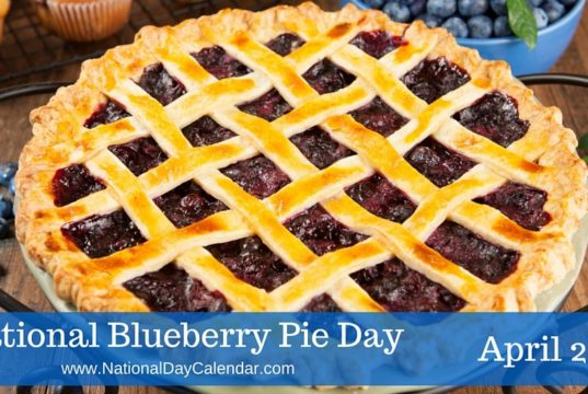 National Blueberry Pie Day