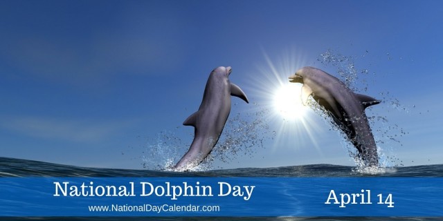 National-Dolphin-Day-April-14-1024x512 dolphin