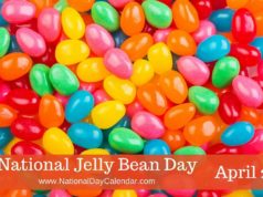 Jelly Bean