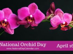 National Orchid Day
