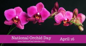 National Orchid Day