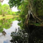 lake-k-2rosalie-creek-1