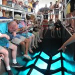 psp-glass-bottom-boat-219