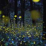 tumblr_m2abm6lm0y1qi8xq7o1_500