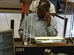 Ball Cap bandit