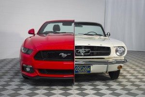 Mustang