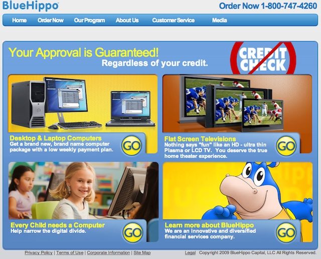 bluehippo Blue Hippo