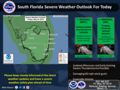 forecast