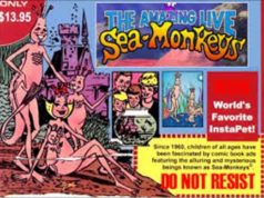 Sea Monkey Day