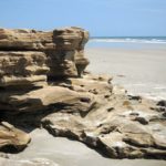 Coquina-rocks-at-Washington