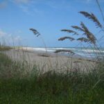 Hobe-Sound-NWR-beach-sea-oa