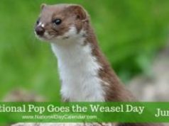 Pop Goes the Weasel Day
