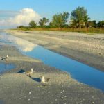 sanibel-beach