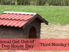 dog house