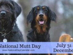 national mutt day